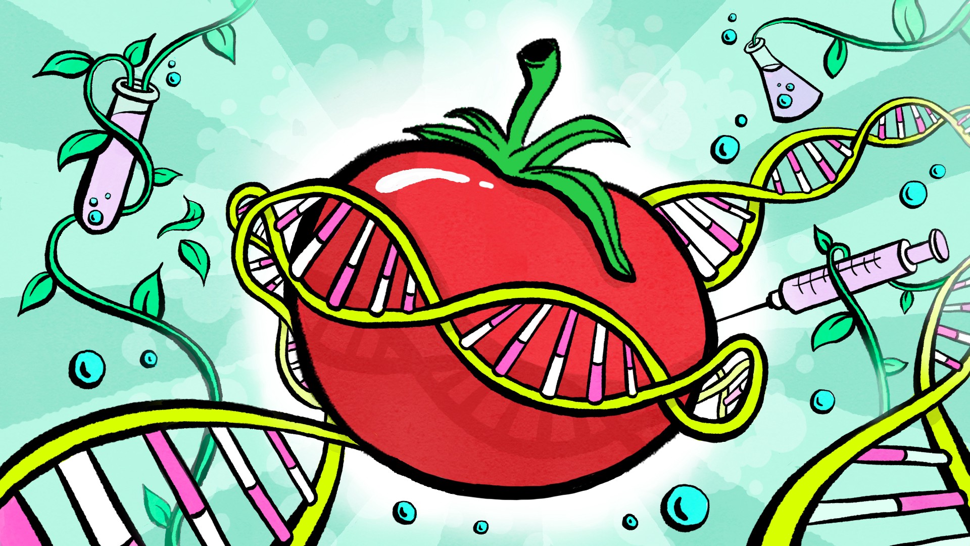 Good GMO vs Bad GMO - Bareburger - Medium